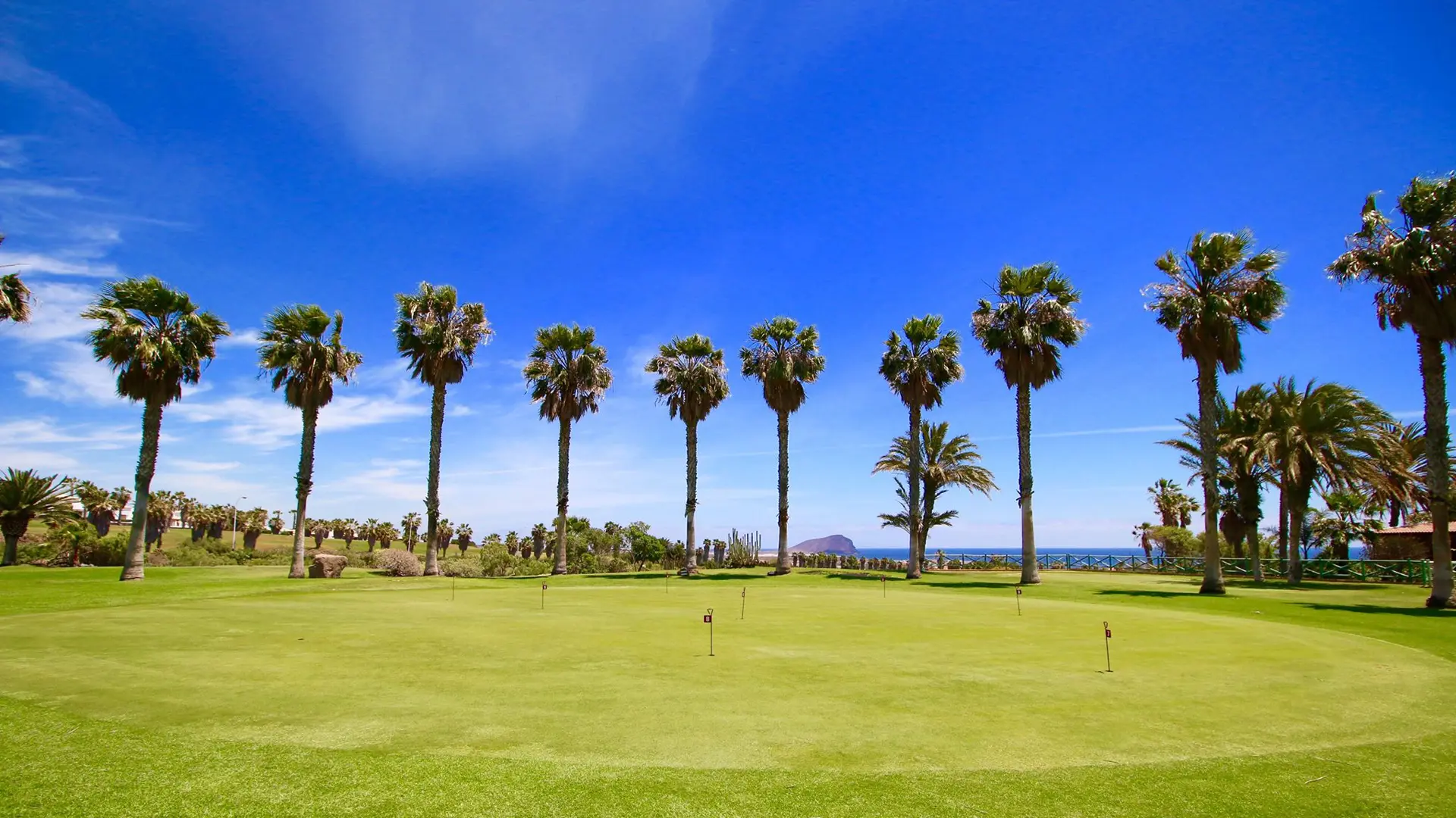  alquiler Tenerife